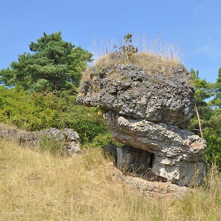 Gönnersdorf Haus Hippelstein 아파트 외부 사진